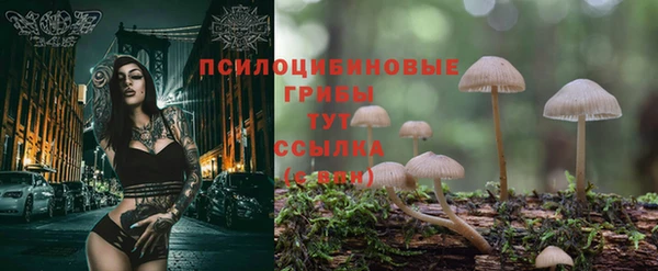 jwh Алексеевка