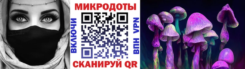 Псилоцибиновые грибы Psilocybe  Геленджик 